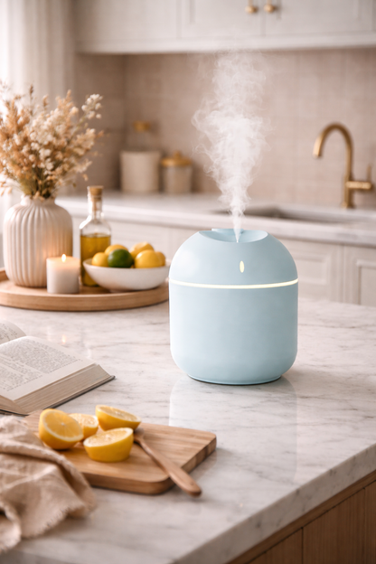 Mister Mist Humidifier